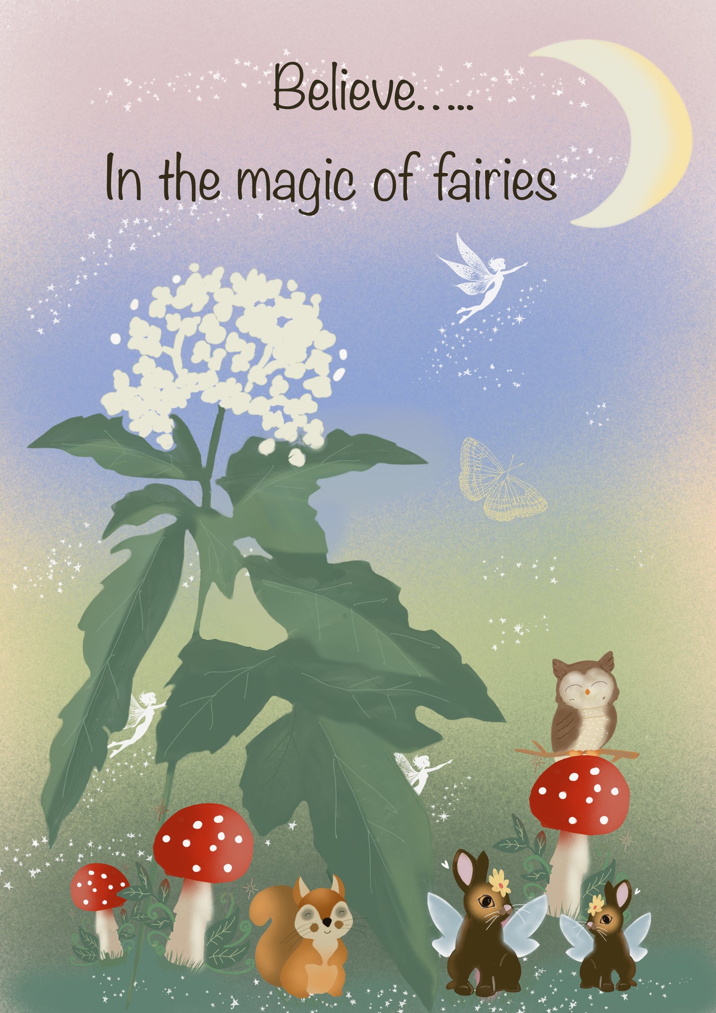 Believe In The Magic Of Fairies
